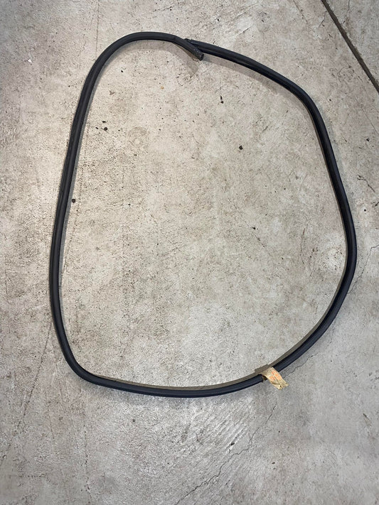 BMW 3 SERIES E46 SEDAN FRONT LEFT DOOR SEAL