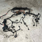 BMW 1 3 X SERIES N46N ENGINE WIRING HARNESS