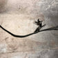BMW N13 Engine Oil Dipstick - F20 F21 F30 F31 - 11437600470