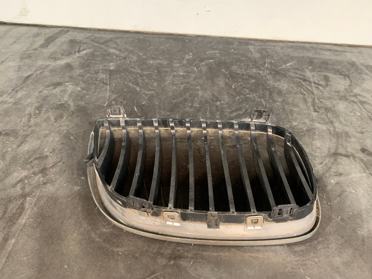BMW Front Kidney Grille