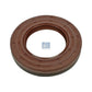 Fiat Ducato 250 Camshaft Seal 2001-2026 and Other Models