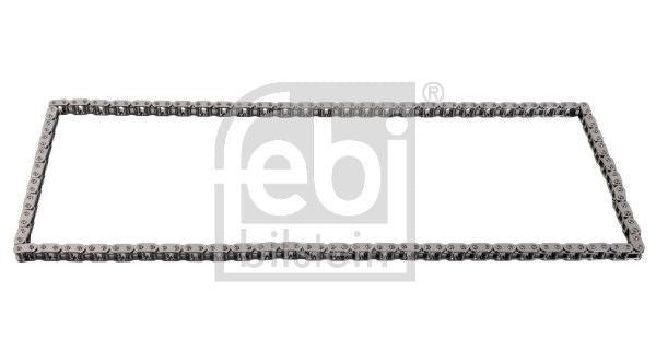 BorgWarner Timing Chain Detail
