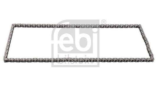 BorgWarner Timing Chain Detail