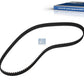 Fiat Ducato 250 Timing Belt (OEM 58 0210 2036) 2001-2026 and Other Models