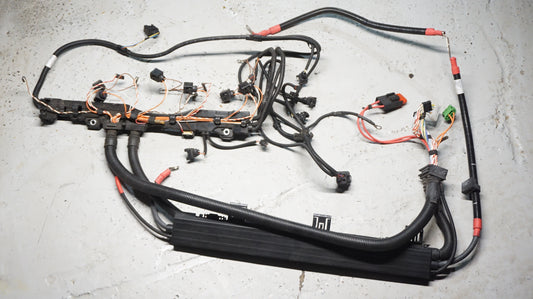 BMW 1 3 SERIES N54 ENIGINE WIRING HARNESS